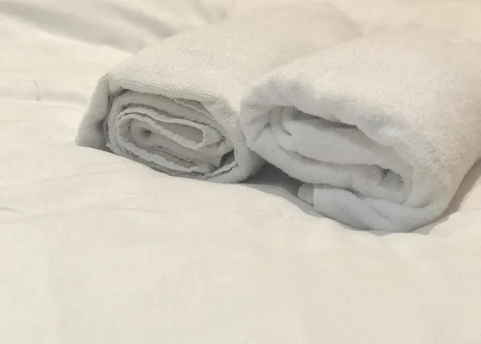 Transitional Havryky Apartment